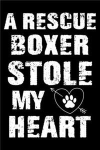 A Rescue Boxer Stole My Heart