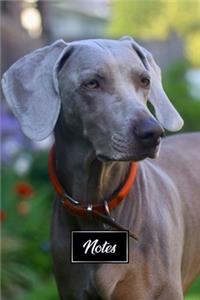 Great Dane Dog Pup Puppy Doggie Notebook Bullet Journal Diary Composition Book Notepad - Dreamy Eyes