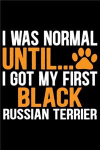 I Was Normal Until I Got My First Black Russian Terrier