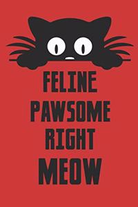 Feline Pawsome Right Meow
