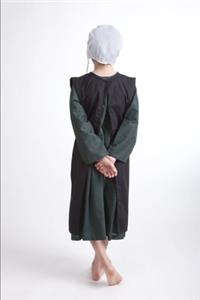 An Amish Heritage