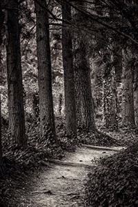 Follow Me Nature Journal