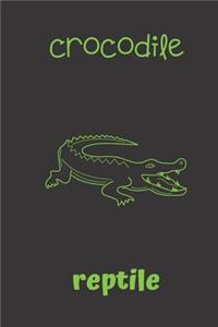 crocodile reptile