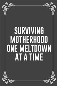 Surviving Motherhood One Meltdown at a Time