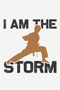 I Am The Storm