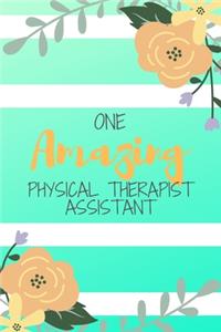 One Amazing Physical Therapist Assistant