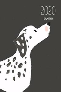 2020 Dalmation