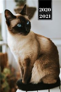 Siamese Cat Kitten Kitty Tomcat Week Planner Organizer 2020 / 2021 - Proud Look