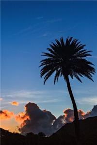 Palm Tree Notebook