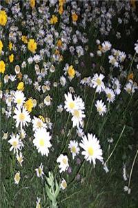Floral 2019 Daily Planner Daisy Field Night 384 Pages