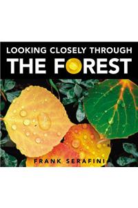 Looking Closely Through the Forest
