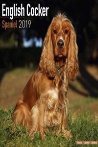 English Cocker Spaniel Calendar 2019