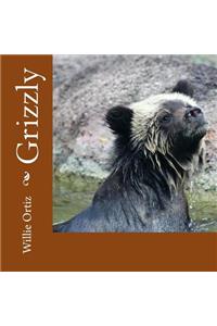 Grizzly