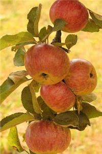 Apple Harvest Journal