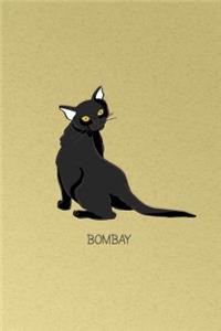 Bombay Cat