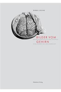 Bilder vom Gehirn