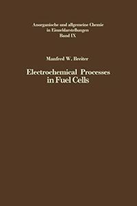 Electrochemical Processes in Fuel Cells