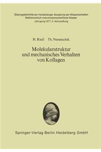 Molekularstruktur und mechanisches Verhalten von Kollagen
