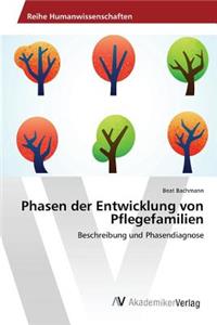 Phasen der Entwicklung von Pflegefamilien