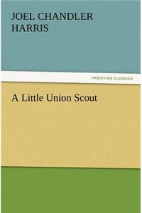 A Little Union Scout
