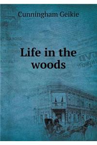 Life in the Woods