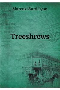 Treeshrews