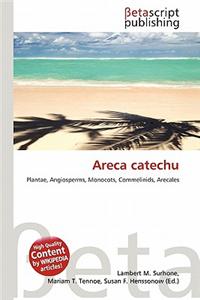 Areca Catechu