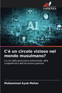 C'è un circolo vizioso nel mondo musulmano?