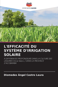 L'Efficacité Du Système d'Irrigation Solaire