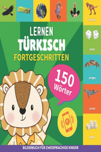 Türkisch lernen - 150 Wörter mit Aussprache - Fortgeschritten