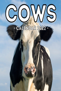 Cows Calendar 2022