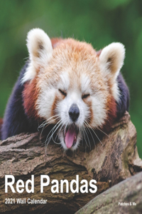 Red Pandas