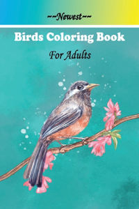 Newest Birds Coloring Book For Adults