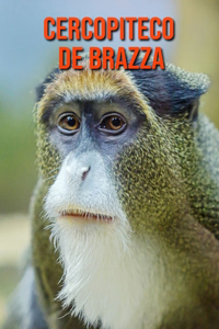 Cercopiteco de Brazza