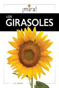 Girasoles