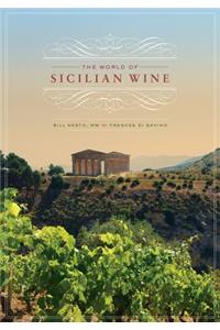 The World of Sicilian Wine