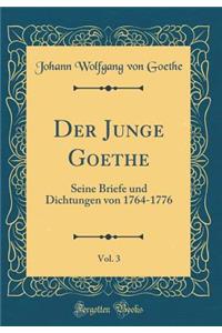 Der Junge Goethe, Vol. 3: Seine Briefe und Dichtungen von 1764-1776 (Classic Reprint)