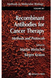 Recombinant Antibodies for Cancer Therapy