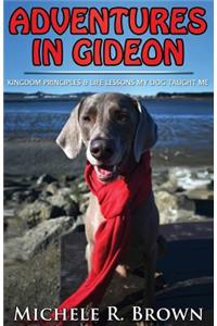 Adventures in Gideon