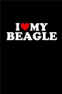 Beagle