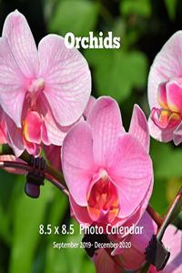 Orchids 8.5 X 8.5 Calendar September 2019 -December 2020