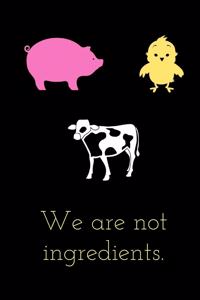 We Are Not Ingredients