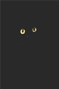 Cat Eyes
