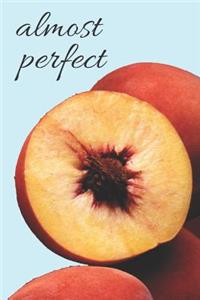 Peach Blank Lined Journal Notebook