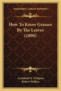 How to Know Grasses by the Leaves (1890)