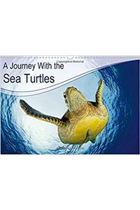 Journey with the Sea Turtles 2017