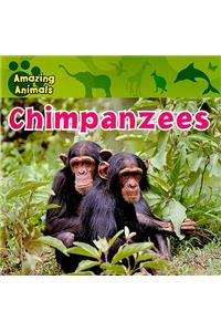Chimpanzees