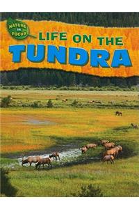 Life on the Tundra