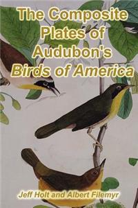 Composite Plates of Audubon's Birds of America