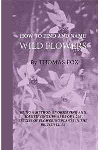 How To Find And Name Wild Flowers - Being A New Method Of Observing And Identifying Upwards Of 1,200 Species Of Flowering Plants In The British Isles